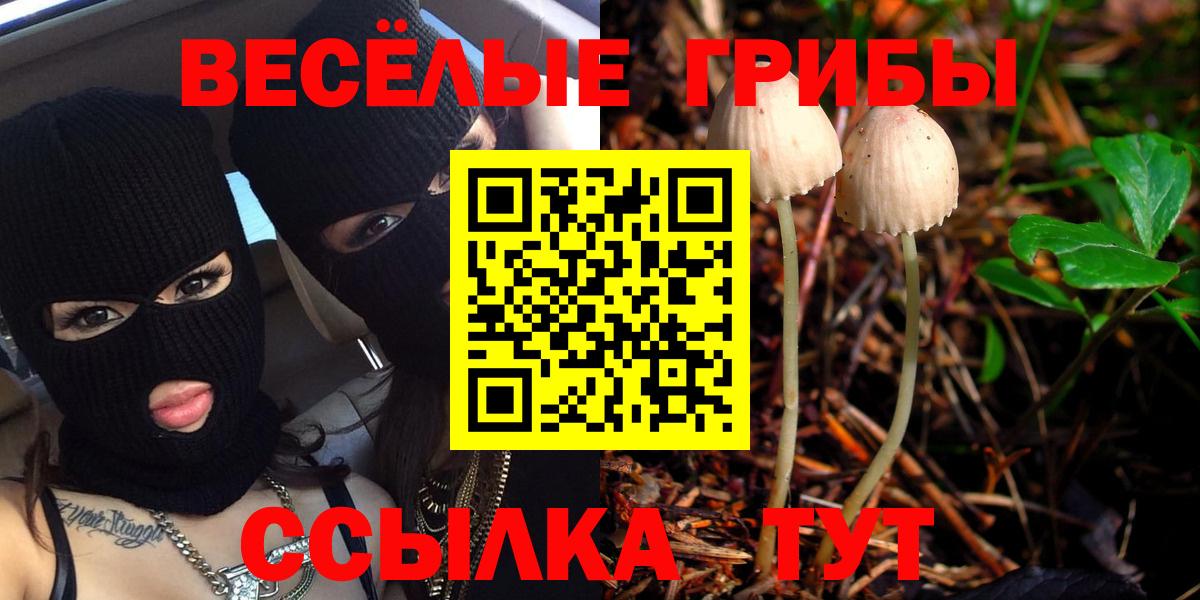 Советская Гавань  Псилоцибиновые грибы мухоморы  Вход с VPN 